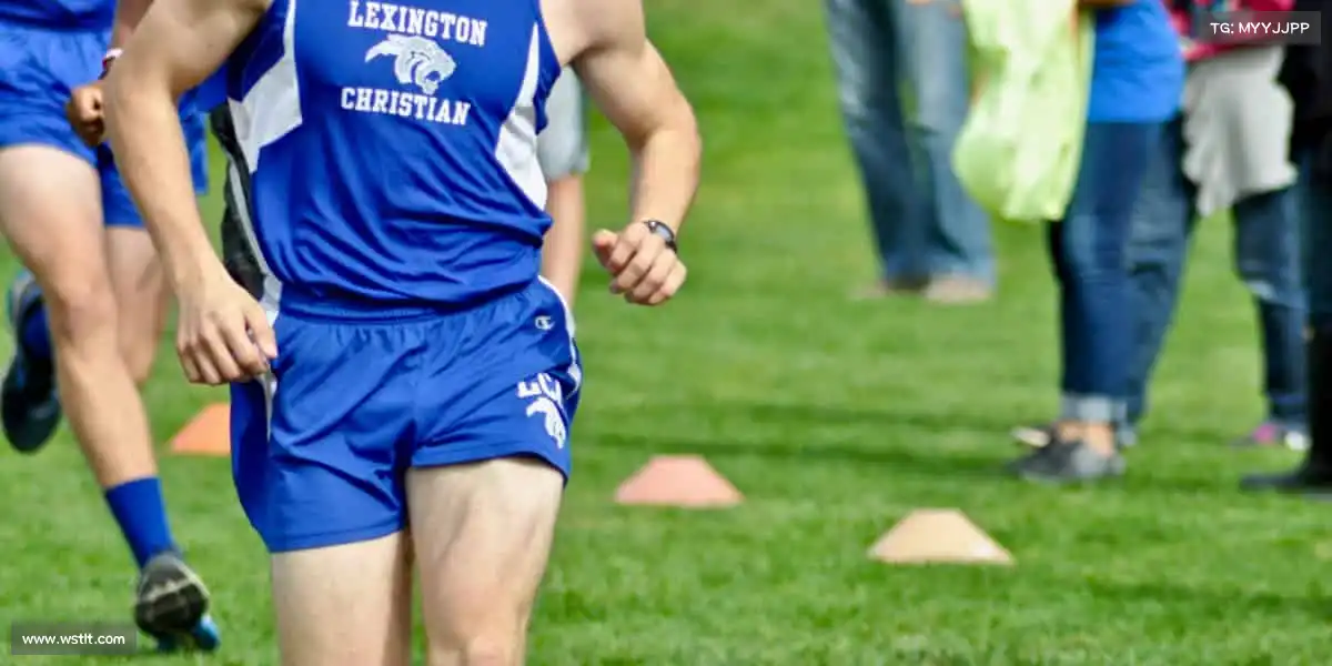 行业领先的理由